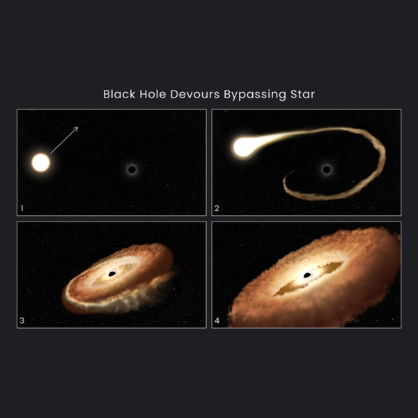 Hubble Finds Hungry Black Hole Twisting Captured Star Into Donut Shape – News24.ph